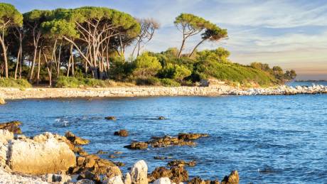 Îles de Lérins