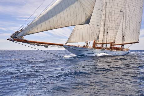 Superb Sailing