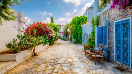 Tranquil Turkey