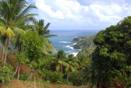 Dominica