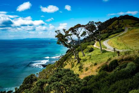 New Zealand