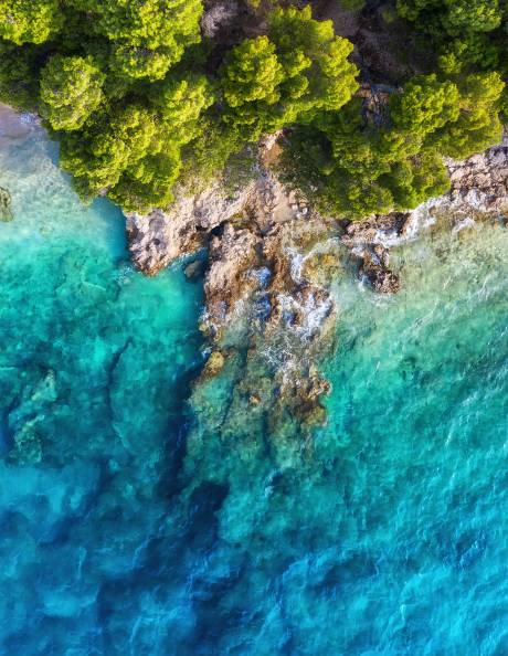 East Mediterranean