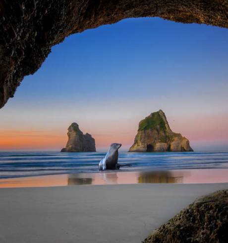  Exploring Tasman bay