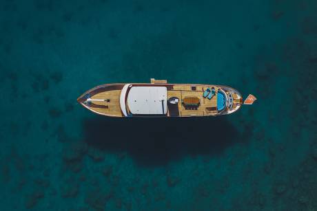 Popular Charter 