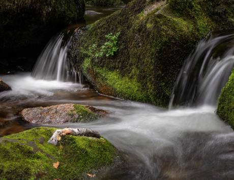 Dartmoor National Park