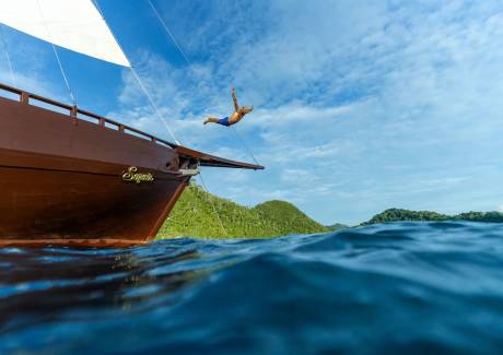 Dive into Discovery