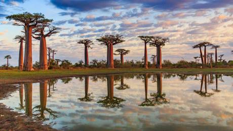 Northwest Madagascar