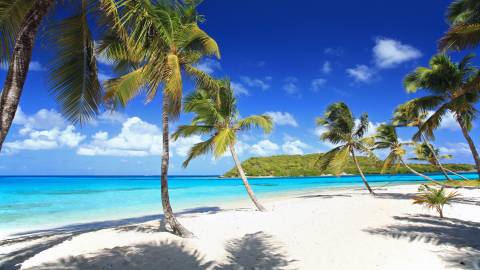 Banish the Winter Blues