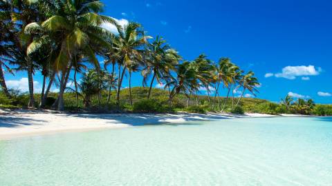 Bahamas