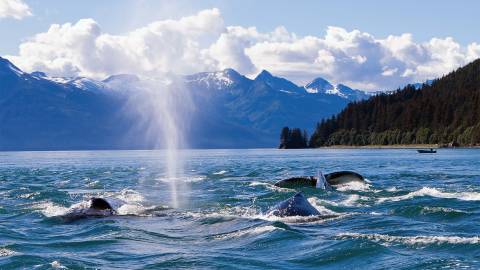 Alaska