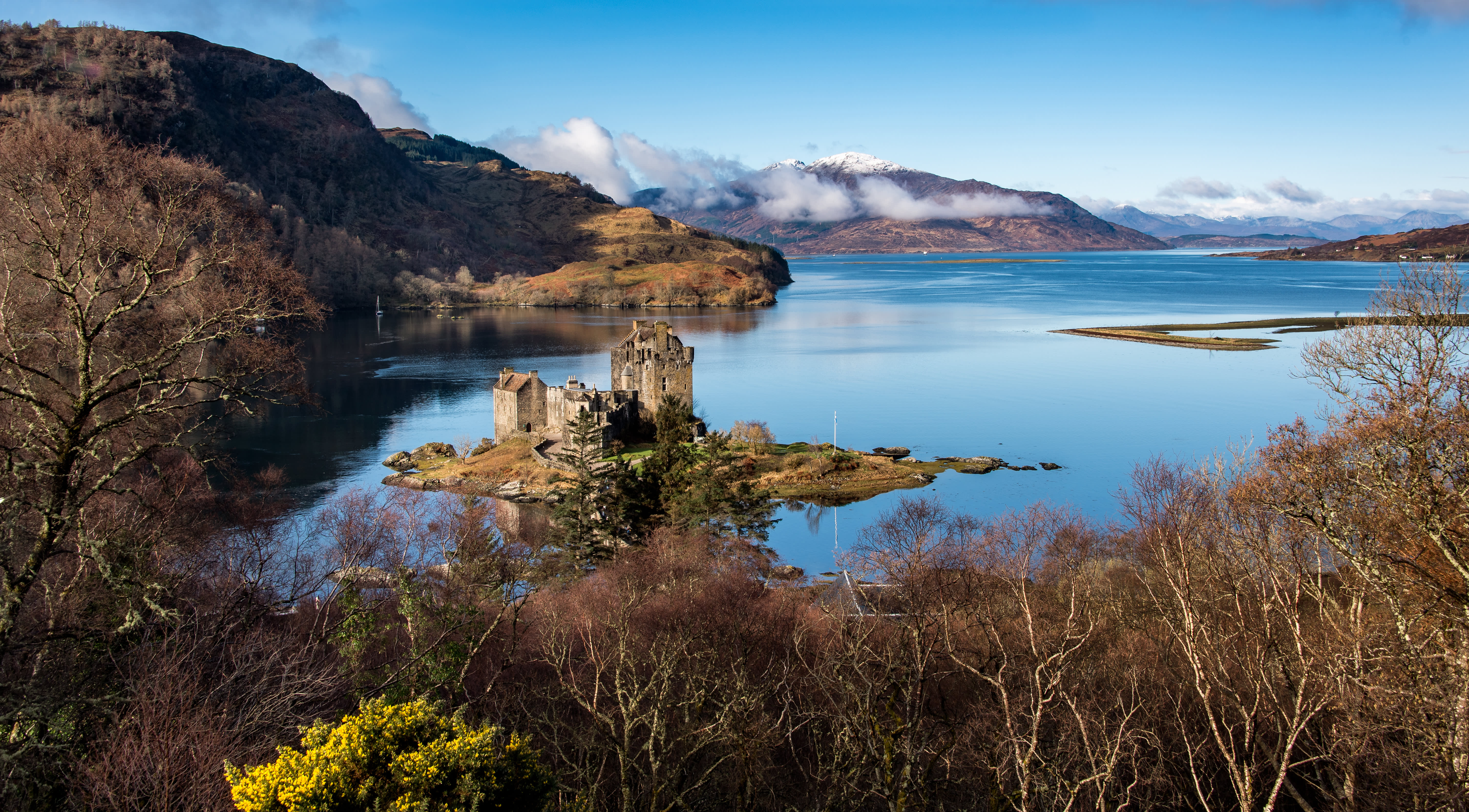 HIGHLAND BACKDROP