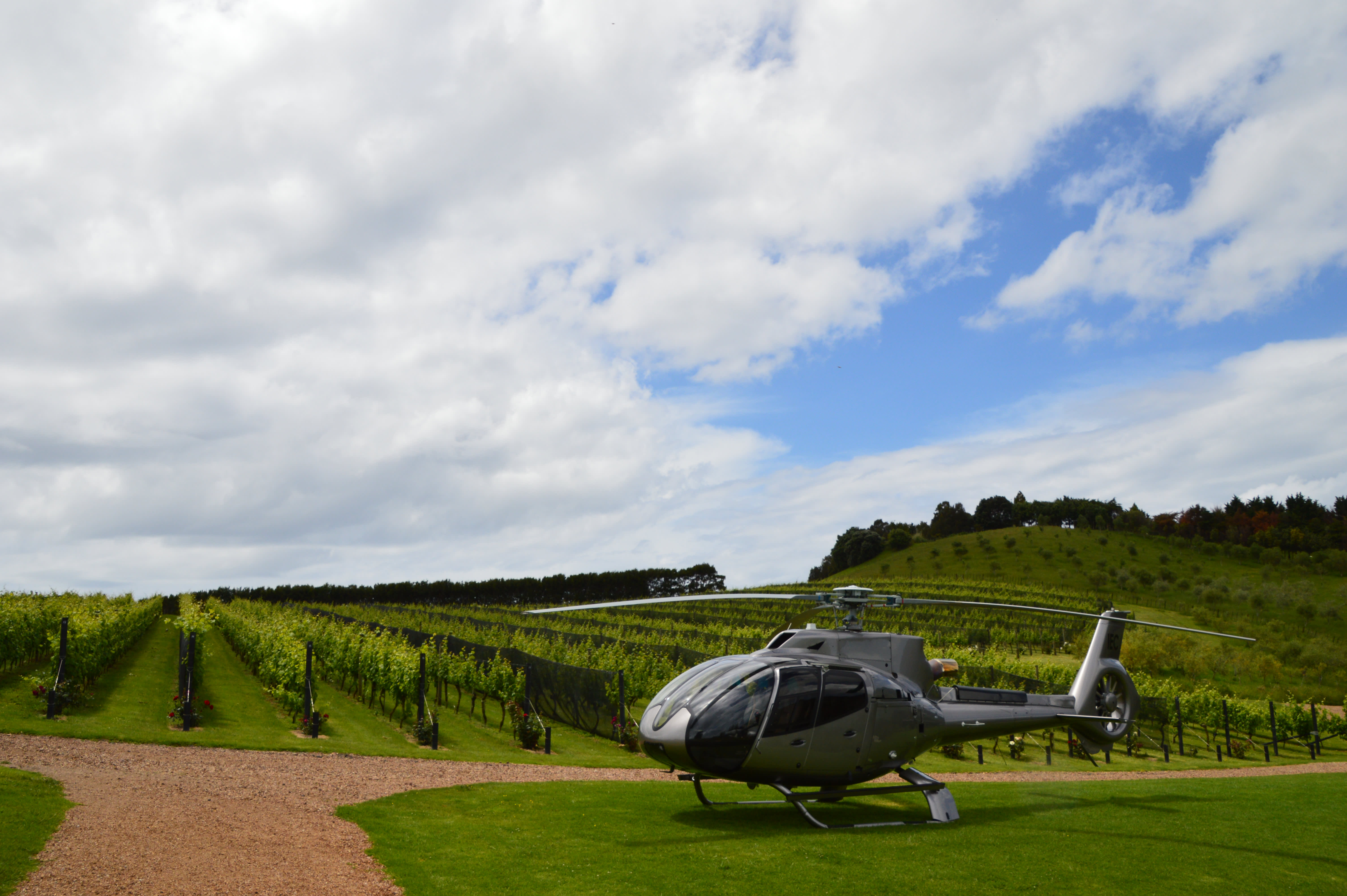 Heli to NZ's Best Vineyards